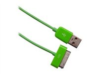 Urban Factory - Câble de charge uniquement - USB mâle pour Apple Dock mâle - 1 m - vert CBL03UF