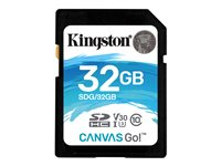 Kingston Canvas Go! - Carte mémoire flash - 32 Go - Video Class V30 / UHS-I U3 / Class10 - SDHC UHS-I SDG/32GB