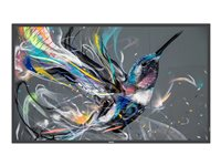 Philips 50BDL3550Q - Classe de diagonale 50" (49.5" visualisable) - Q-Line écran LCD rétro-éclairé par LED - signalisation numérique - 4K UHD (2160p) 3840 x 2160 - LED à éclairage direct 50BDL3550Q/00