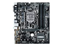 ASUS PRIME B250M-A - Carte-mère - micro ATX - Socket LGA1151 - B250 - USB 3.0, USB-C - Gigabit LAN - carte graphique embarquée (unité centrale requise) - audio HD (8 canaux) PRIME B250M-A