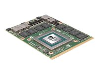 NVIDIA Quadro P5000 - Carte graphique - Quadro P5000 - 16 Go GDDR5 - MXM 3.1 Type B QP5000-KIT