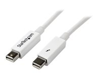 StarTech.com Câble Thunderbolt de 50 cm M/M Blanc - Cordon Thunderbolt pour Apple® Mac®, MacBook Pro® etc - 2x Thunderolt (Mâle) - Blanc - Câble Thunderbolt - Mini DisplayPort (M) pour Mini DisplayPort (M) - Thunderbolt 2 - 50 cm - blanc TBOLTMM50CMW