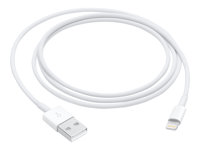 Apple - Câble Lightning - USB mâle pour Lightning mâle - 1 m - blanc - pour iPad/iPhone/iPod (Lightning) MQUE2ZM/A