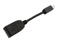 PNY - Adaptateur DisplayPort - Mini DisplayPort pour DisplayPort - noir QSP-MINIDP/DP