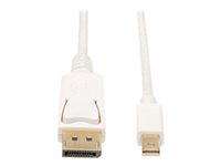 Tripp Lite 6ft Mini DisplayPort to DisplayPort Adapter Converter Cable mDP to DP 4K x 2K @ 60Hz M/M 6' - Câble DisplayPort - Mini DisplayPort (M) pour DisplayPort (M) - 1.83 m - blanc P583-006