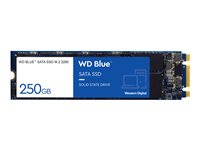WD Blue 3D NAND SATA SSD WDS250G2B0B - SSD - 250 Go - interne - M.2 2280 - SATA 6Gb/s WDS250G2B0B