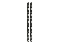 APC - Kit de gestion de câbles pour rack - noir - 42U (pack de 2) - pour Netshelter VL Enclosure no Sides, Enclosure with Sides AR7501