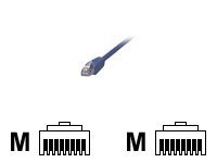 MCL - Câble réseau - RJ-45 (M) pour RJ-45 (M) - 10 m - blindé - CAT 5e - bleu FCC5EBM-10M/B