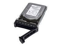 Dell - Disque dur - 1 To - échangeable à chaud - 2.5" (dans un support de 3,5") - SAS 12Gb/s - 7200 tours/min - pour PowerEdge C6420, R240, R340, R440, R540, R640, R6415, R740, R740xd, R7415, R7425 (3.5") 400-ATJE