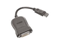 Lenovo - Câble DVI - liaison simple - DisplayPort (M) pour DVI-D (F) - 20 cm - gris 45J7915