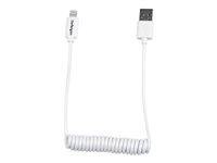 StarTech.com Câble Apple Lightning vers USB spiralé de 60 cm - Cordon Lightning 8 broches vers USB extensible - M/M - Blanc (USBCLT60CMW) - Câble Lightning - USB mâle pour Lightning mâle - 60 cm - double blindage - blanc - pour Apple iPad/iPhone/iPod (Lightning) USBCLT60CMW