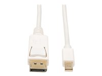 Tripp Lite 3ft Mini DisplayPort to DisplayPort Adapter Converter Cable mDP to DP 4K x 2K @ 60Hz M/M3' - Câble DisplayPort - Mini DisplayPort (M) pour DisplayPort (M) - 91.4 cm - blanc P583-003