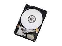 HGST Travelstar 7K1000 HTS721010A9E630 - Disque dur - 1 To - interne - 2.5" - SATA 6Gb/s - 7200 tours/min - mémoire tampon : 32 Mo 0J22423