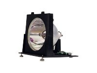 Optoma SP.L4501.001 - Lampe de projecteur - UHP - 100 Watt - 2000 heure(s) - pour Optoma RD50, RD50A, RD50H, RD65, RD65A, RD65H SP.L4501.001